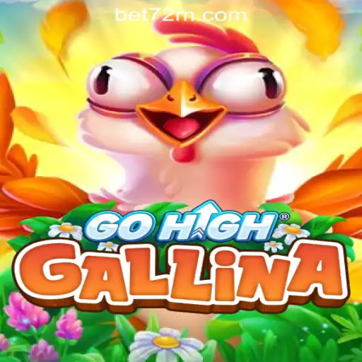Exploring the Excitement of GoHighGallina